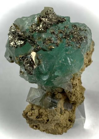 Green Fluorite With Pyrite Xls: Huanzala Mine.  Ancash,  Peru