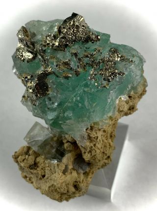Green Fluorite with Pyrite xls: Huanzala Mine.  Ancash,  Peru 3