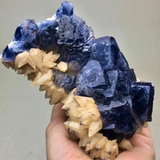 439g Transparent Blue Cubic Fluorite & Yellow Dog Tooth Calcite Mineral Specimen