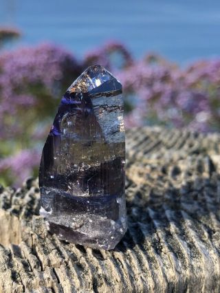 Top Shelf Tanzanite Crystal: Video 3