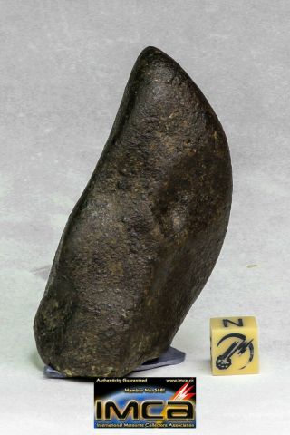 C57 - Great Complete Nwa Unclassified Ordinary Chondrite Meteorite 131.  3g