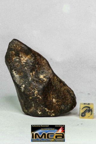 16 - Great Complete Nwa Unclassified Chondrite Meteorite 163.  8g Oriented