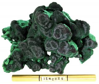 Botryoidal Malachite From The Mindingi Mine In The Dr Congo