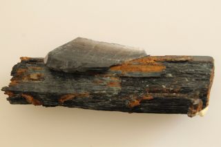 Arfvedsonite Rare Huge Crystal with Quartz Zomba Malawi - q0121 - 07 2
