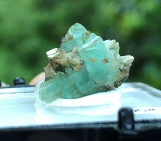 Rare Beryl Var.  Emerald,  Hiddenite Mine,  Hiddenite,  Nc,  Ex.  Beau Gordon