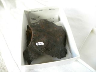 Meteorite Sikhote - Alin,  1451 Grams