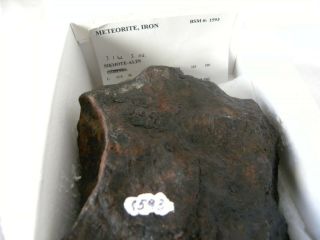 Meteorite Sikhote - Alin,  1451 Grams 2