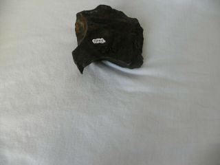 Meteorite Sikhote - Alin,  1451 Grams 3