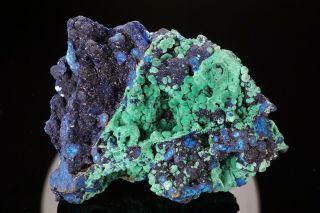 CLASSIC Azurite & Malachite Crystal Cluster BISBEE,  ARIZONA - Ex.  Lemanski 2