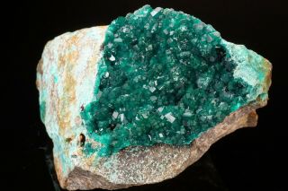 Rare Locale Dioptase Crystal Cluster Acari Mine,  Peru - Ex.  Lemanski
