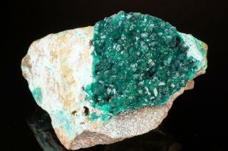 RARE LOCALE Dioptase Crystal Cluster ACARI MINE,  PERU - Ex.  Lemanski 3