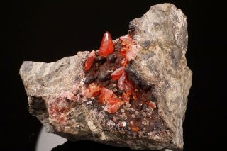Classic Rhodochrosite Crystal Cluster Uchucchacua Mine,  Peru - Ex.  Lemanski