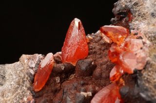 CLASSIC Rhodochrosite Crystal Cluster UCHUCCHACUA MINE,  PERU - Ex.  Lemanski 2