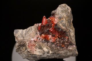 CLASSIC Rhodochrosite Crystal Cluster UCHUCCHACUA MINE,  PERU - Ex.  Lemanski 3