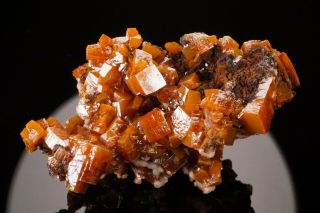 CLASSIC Wulfenite Crystal Cluster LOS LAMENTOS,  MEXICO - Ex.  Lemanski 3