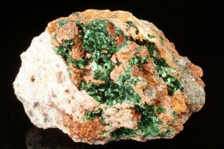 Extraordinary Szenicsite Crystal Cluster Jardinera 1 Mine,  Chile - Ex.  Lemanski