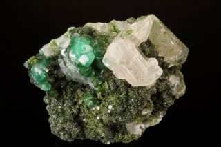 Blue - Green Smithsonite With Duftite & Cerussite Crystal Tsumeb,  Namibia