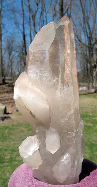 Big Natural Lemurian Quartz Crystal Twin W Barnacle Crystals