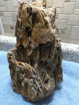 Crystallized Petrified Wood From Brilliant Alabama