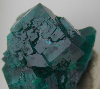 Dioptase Crystals - 1.  7 Cm - Tsumeb Mine,  Namibia 24112