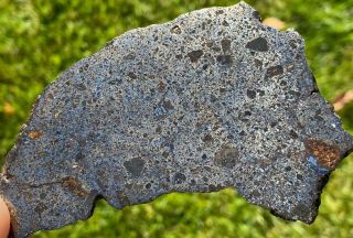 Big Slice Mesosiderite Meteorite,  W/ Olivine & Unique Matrix Look Nwa 12949