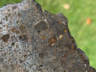 Big Slice Mesosiderite meteorite,  w/ olivine & unique matrix Look NWA 12949 2