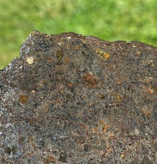 Big Slice Mesosiderite meteorite,  w/ olivine & unique matrix Look NWA 12949 3