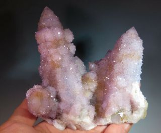 3.  7 " Natural Cactus Amethyst Spirit Quartz Crystal Cluster South Africa 7167