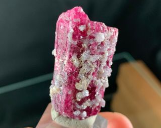 Big Pink Rubellite Tourmaline Crystal: Jonas Mine.  Conselheiro Pena,  Mg,  Brazil
