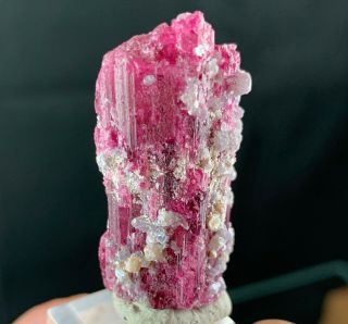 Big Pink Rubellite Tourmaline Crystal: Jonas Mine.  Conselheiro Pena,  MG,  Brazil 2