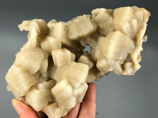 155mm Find Quartz Illusion Barite With Fluorite From China