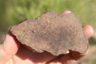 Gold Basin Meteorite End Cut 99.  1 Grams
