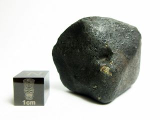 Nwa X Meteorite 44.  72g Fresh Fusion Crusted Double - Oriented Stone