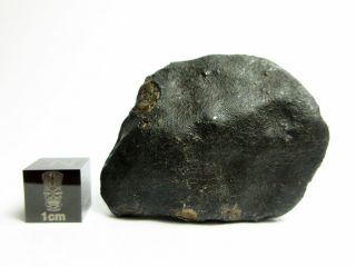 NWA x Meteorite 44.  72g Fresh Fusion Crusted Double - Oriented Stone 2