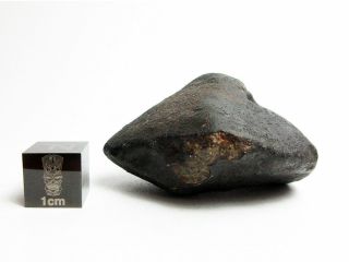 NWA x Meteorite 44.  72g Fresh Fusion Crusted Double - Oriented Stone 3