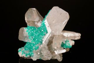 Dioptase On Cerussite Crystal Twin Tsumeb,  Namibia - Ex.  Lemanski