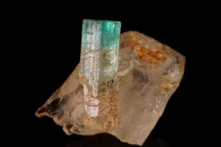 Emerald on Quartz Crystal RIST MINE,  NORTH CAROLINA - Ex.  Lemanski 2