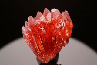 CLASSIC Rhodochrosite Crystal Cluster KURUMAN,  SOUTH AFRICA - Ex.  Lemanski 3