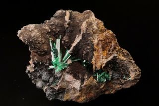 Old Primary Malachite Crystal Wissen,  Germany - Ex.  Lemanski