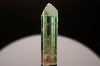 Classic Bi - Color Tourmaline Crystal Cruziero Mine,  Brazil - Ex.  Lemanski