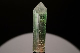 CLASSIC Bi - Color Tourmaline Crystal CRUZIERO MINE,  BRAZIL - Ex.  Lemanski 2