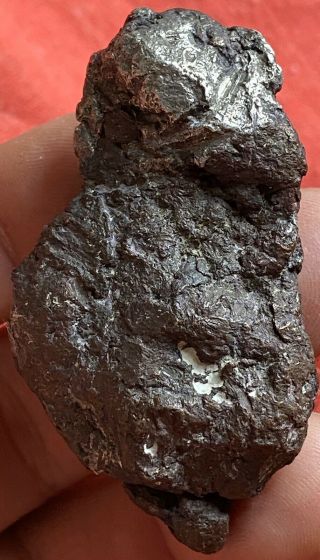 121g Silver On Brown Copper Halfbreed Specimen - Quincy Mine,  Michigan