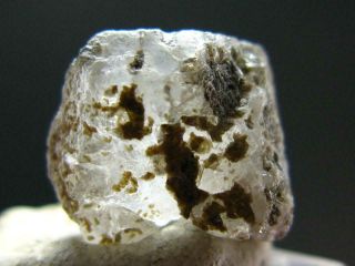 Phenakite Phenacite Crystal From Russia - 0.  7 " - 21.  1 Carats