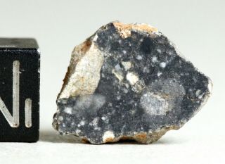 Meteorite Nwa 11273 - Lunar Achondrite From Moon - Polished Full Slice