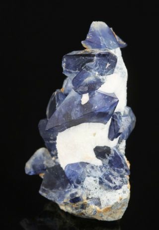Sharp Blue Benitoite Crystals w/ Natrolite on Matrix - San Benito County,  CA 3