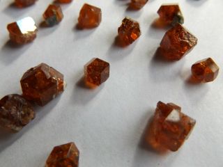 Approx 308 Ct.  Orange Grossular Garnet Crystals V.  A.  G.  Quarry Eden Mills,  Vt