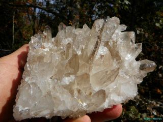 Huge Arkansas Quartz Crystal Cluster_rare Natural Smokey