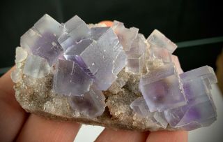 Zoned Purple Fluorite Crystal Cluster: La Viesca Mine.  Collada.  Asturias,  Spain