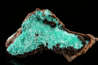 Aesthetic Aurichalcite Crystal Cluster Ojuela Mine,  Mexico - Ex.  Lemanski