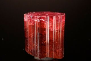 CLASSIC Rubellite Tourmaline Crystal MALKHAN,  RUSSIA - Ex.  Lemanski 2